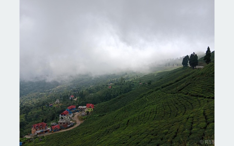 चिया टिप्न हातेमेसिन प्रदान गर्दै सूर्योदय नगरपालिका